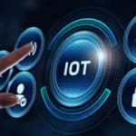 IoT Data: From Collection to Insight