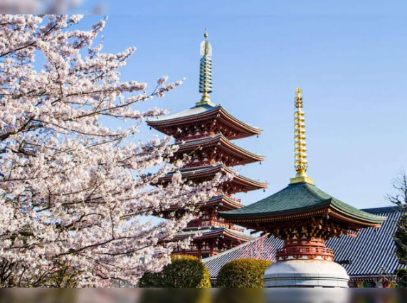Top Tokyo Travel Attractions Tourists Love
